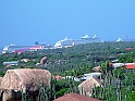 Aruba17