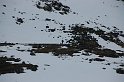 Spitzbergen-189