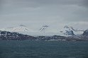 Spitzbergen-206
