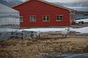 Spitzbergen-221