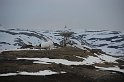Spitzbergen-229