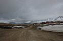 Spitzbergen-234