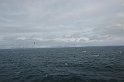 Spitzbergen-262