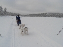 Kiruna-Ue032